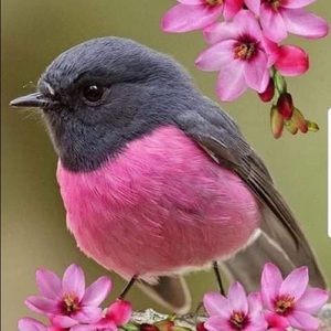 Meet your Posher, Lynda